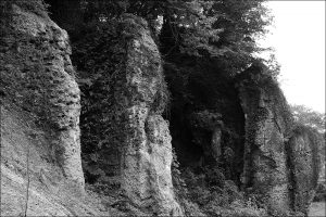 岩石標本｢大谷層ユニットIII層の軽石凝灰岩｣の採取地点｜宇都宮市大谷町の石切場跡