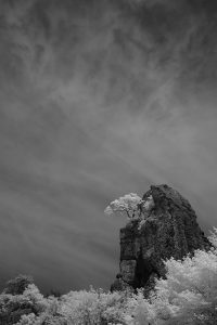 大洲大作 《石の街―立岩》 撮影：2016年 作家のことば：大谷の奇岩とも陸の松島とも。確かに松を冠し岩山が立つ風景は独特である。だが、それは文字通り一端に過ぎない。横たわる層への観／測によって、人はようやく石に達する。 (C)Daisaku Ooozu