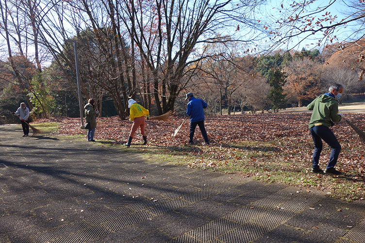 落ち葉ひろい１